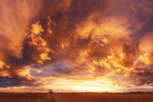 告别老东家，XX选手深夜发文，感慨万千！