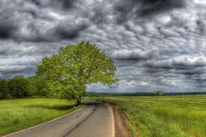 从赛场到指尖，电竞短视频重新定义“游戏玩家”